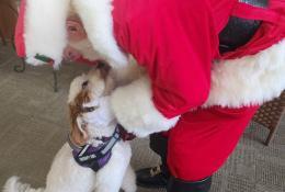 Santa Danny and Aji our EOC Therapy Dog