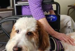 Elder Orphan Care therapy dog Aji is petted by a grateful older friend